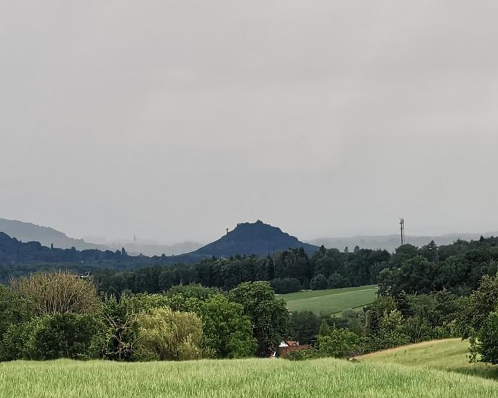 Burgblick